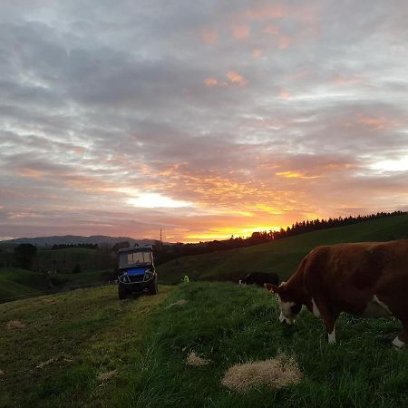 Above The River Karapiro Bed & Breakfast エクステリア 写真
