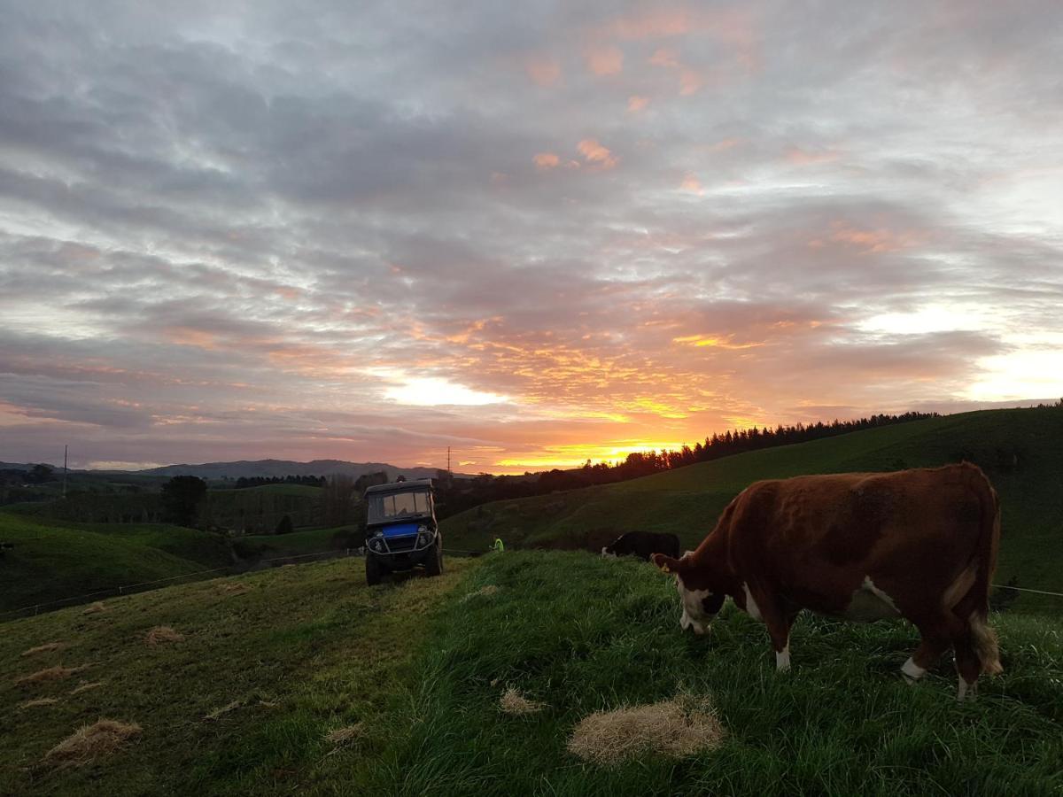 Above The River Karapiro Bed & Breakfast エクステリア 写真