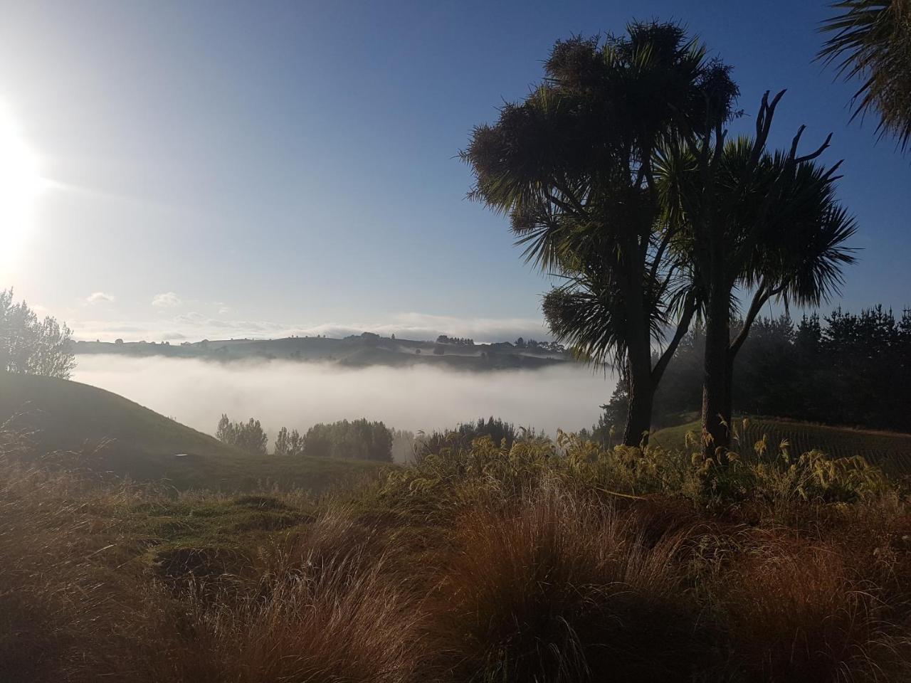 Above The River Karapiro Bed & Breakfast エクステリア 写真
