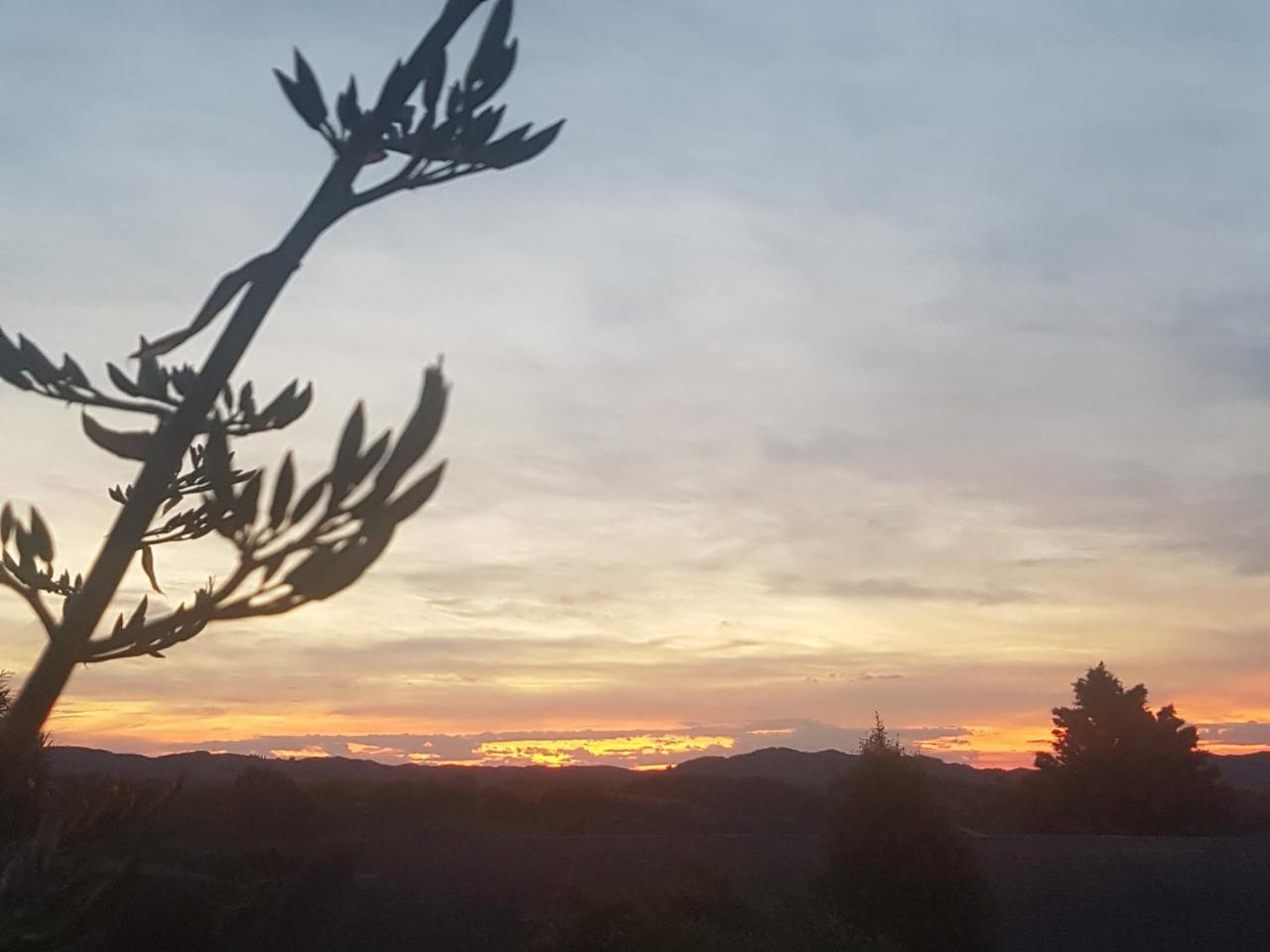 Above The River Karapiro Bed & Breakfast エクステリア 写真