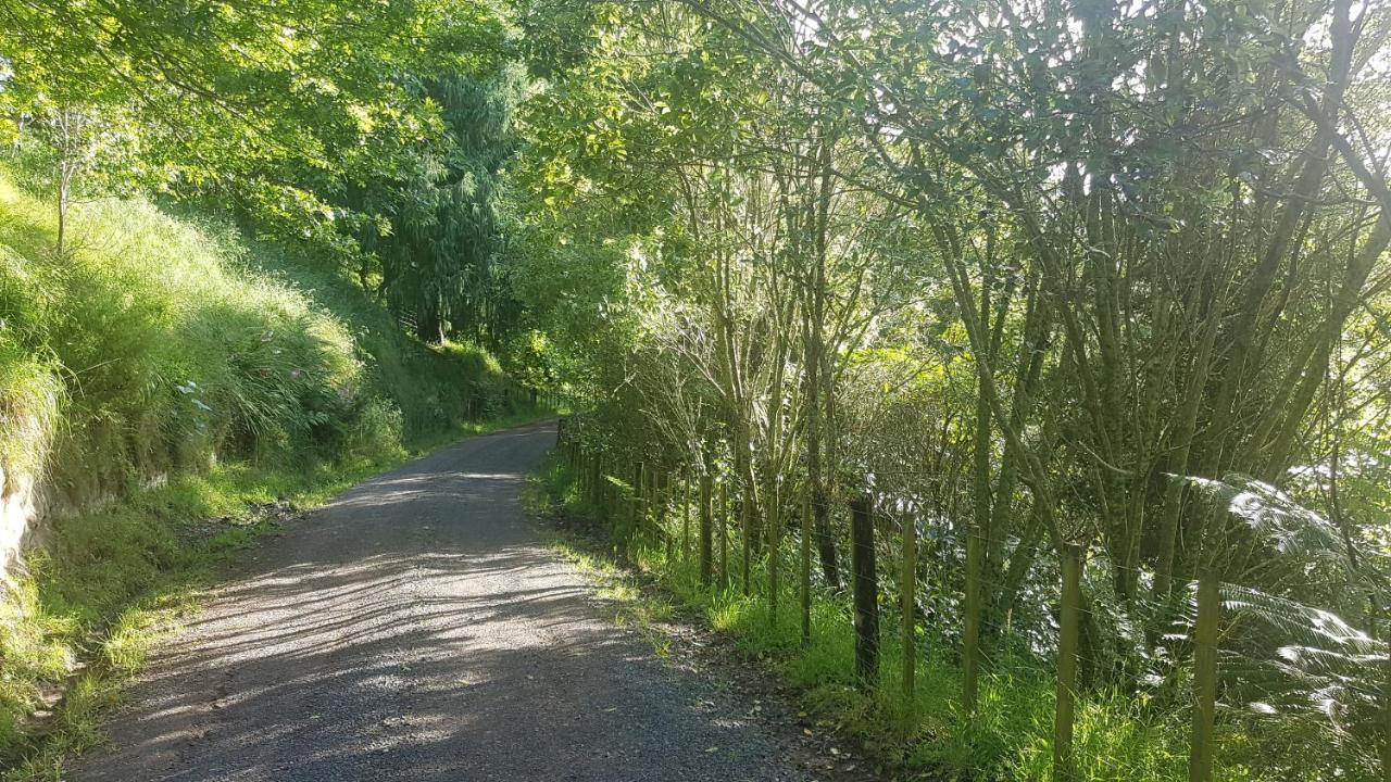 Above The River Karapiro Bed & Breakfast エクステリア 写真