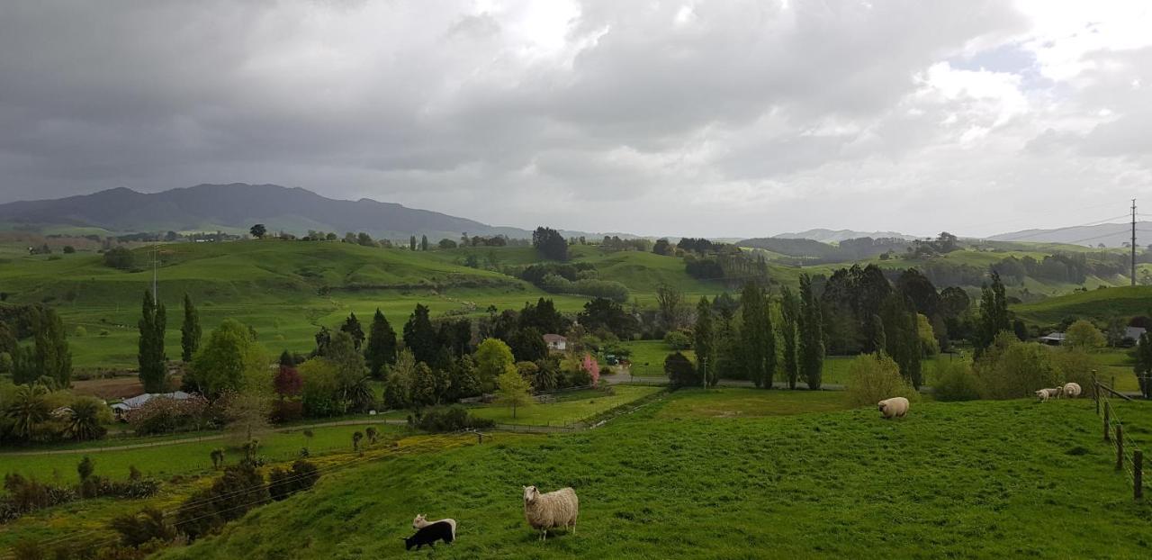 Above The River Karapiro Bed & Breakfast エクステリア 写真